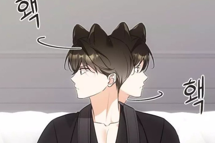 Such an Adorable Face! Reading Link Manhwa Cat Therapy Chapter 25 English Translation & Release Date