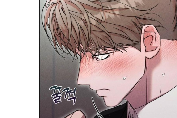 Read BL Manhwa Sweet Sugar Candyman Chapter 5 English Scan, RAW! There's No Reason to Refuse