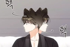 Such an Adorable Face! Reading Link Manhwa Cat Therapy Chapter 25 English Translation & Release Date