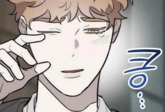 Read Manhwa Alphega Chapter 15 in English Scan, Clearer Instructions